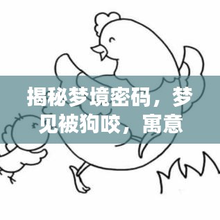 揭秘夢境密碼，夢見被狗咬，寓意何在？