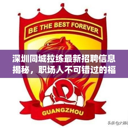 深圳同城拉練最新招聘信息揭秘，職場人不可錯過的福音時刻！