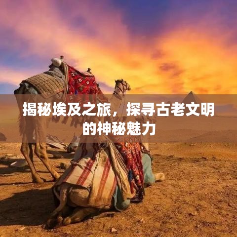 揭秘埃及之旅，探尋古老文明的神秘魅力