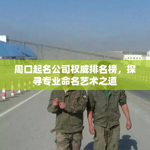 周口起名公司權(quán)威排名榜，探尋專業(yè)命名藝術(shù)之道