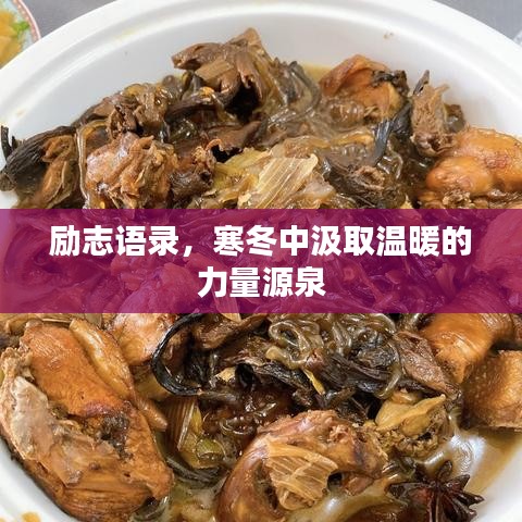 勵志語錄，寒冬中汲取溫暖的力量源泉