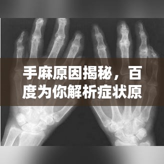 手麻原因揭秘，百度為你解析癥狀原因