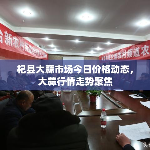 杞縣大蒜市場今日價格動態(tài)，大蒜行情走勢聚焦