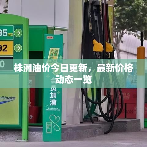 株洲油價(jià)今日更新，最新價(jià)格動(dòng)態(tài)一覽