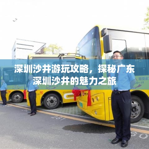 深圳沙井游玩攻略，探秘廣東深圳沙井的魅力之旅