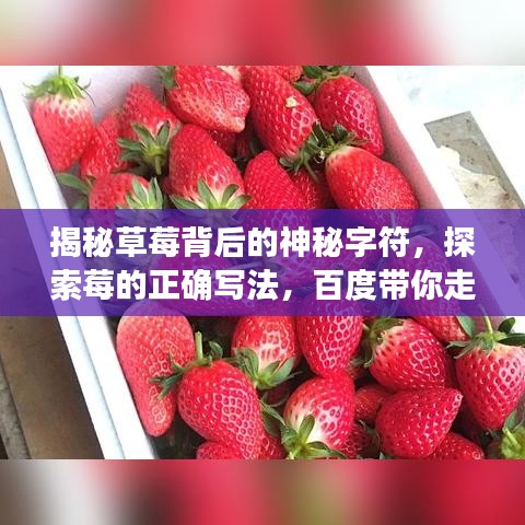 揭秘草莓背后的神秘字符，探索莓的正確寫法，百度帶你走進(jìn)知識寶藏！