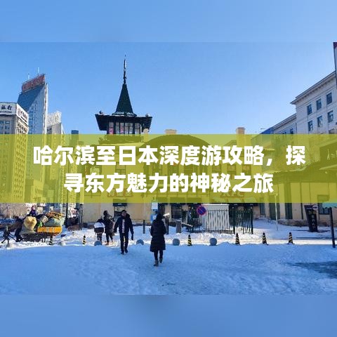 哈爾濱至日本深度游攻略，探尋東方魅力的神秘之旅
