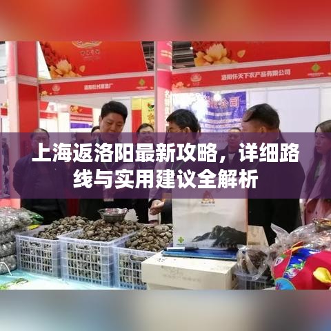 上海返洛陽(yáng)最新攻略，詳細(xì)路線與實(shí)用建議全解析