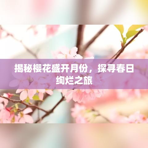 揭秘櫻花盛開月份，探尋春日絢爛之旅