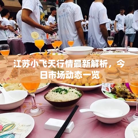 江蘇小飛天行情最新解析，今日市場(chǎng)動(dòng)態(tài)一覽