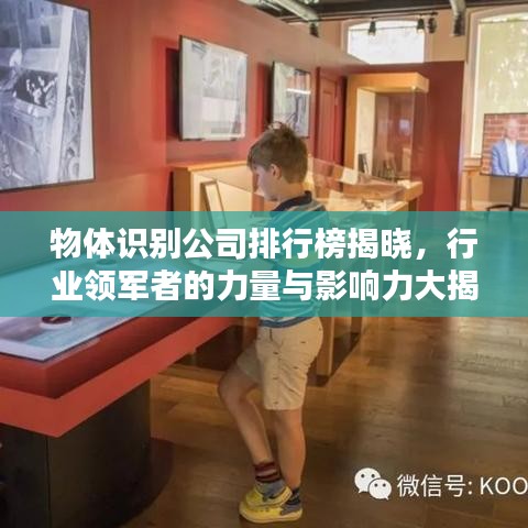 物體識(shí)別公司排行榜揭曉，行業(yè)領(lǐng)軍者的力量與影響力大揭秘