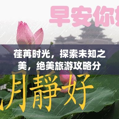 荏苒時(shí)光，探索未知之美，絕美旅游攻略分享