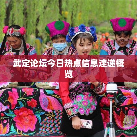 武定論壇今日熱點信息速遞概覽
