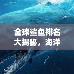 全球鯊魚排名大揭秘，海洋霸主的震撼力量榜單