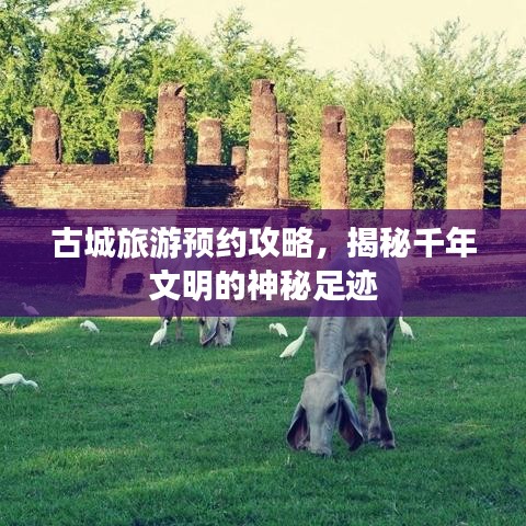 古城旅游預約攻略，揭秘千年文明的神秘足跡