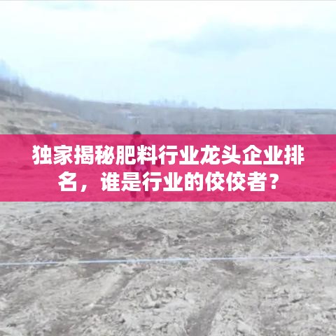 獨(dú)家揭秘肥料行業(yè)龍頭企業(yè)排名，誰(shuí)是行業(yè)的佼佼者？