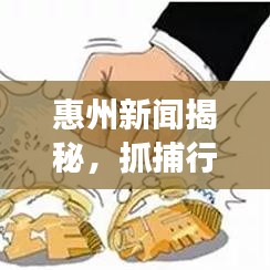 惠州新聞揭秘，抓捕行動背后的故事