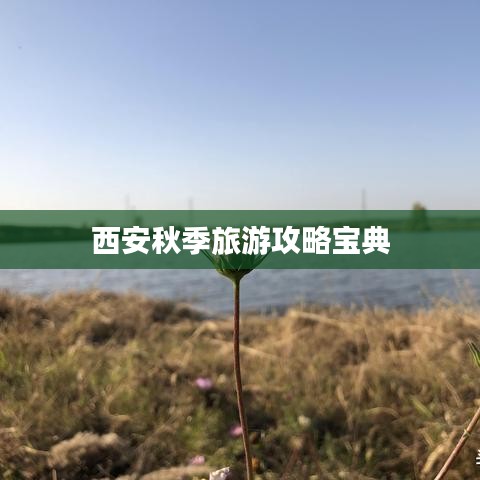 西安秋季旅游攻略寶典