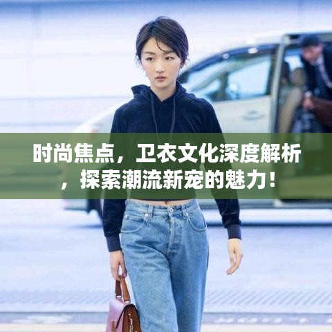時尚焦點，衛(wèi)衣文化深度解析，探索潮流新寵的魅力！