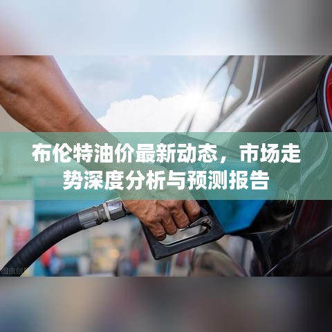 布倫特油價最新動態(tài)，市場走勢深度分析與預(yù)測報告