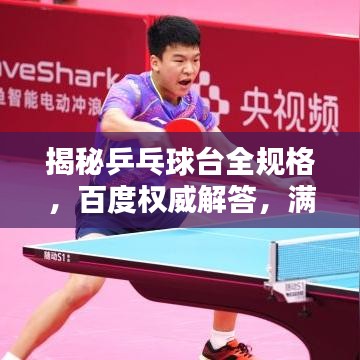 揭秘乒乓球臺(tái)全規(guī)格，百度權(quán)威解答，滿足你所有需求！