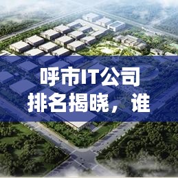 呼市IT公司排名揭曉，誰(shuí)是行業(yè)領(lǐng)頭羊？