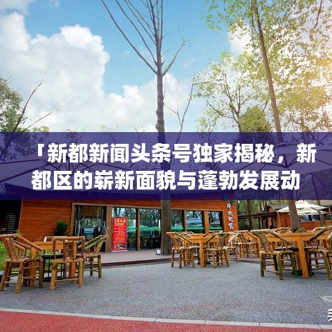 「新都新聞頭條號獨家揭秘，新都區(qū)的嶄新面貌與蓬勃發(fā)展動態(tài)」