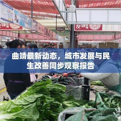 曲靖最新動(dòng)態(tài)，城市發(fā)展與民生改善同步觀察報(bào)告