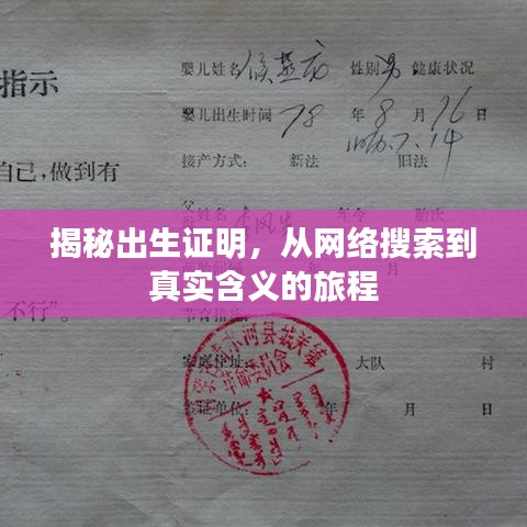 揭秘出生證明，從網(wǎng)絡(luò)搜索到真實(shí)含義的旅程