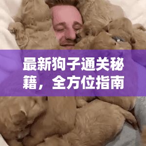 最新狗子通關(guān)秘籍，全方位指南助你輕松成為養(yǎng)狗達(dá)人！