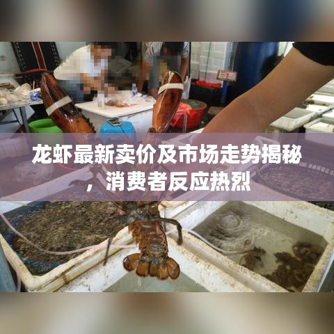 龍蝦最新賣價及市場走勢揭秘，消費者反應熱烈