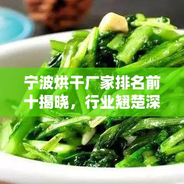 寧波烘干廠家排名前十揭曉，行業(yè)翹楚深度解析