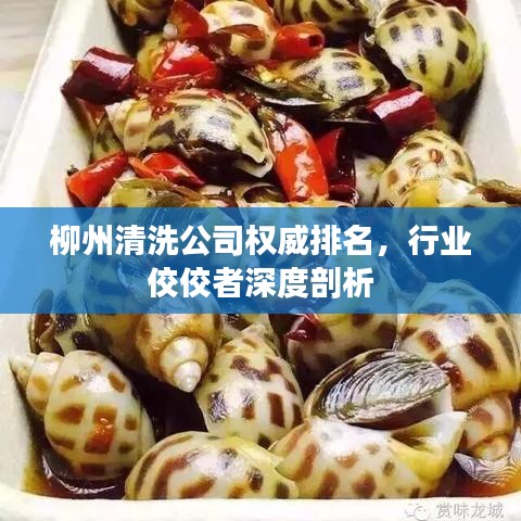 柳州清洗公司權(quán)威排名，行業(yè)佼佼者深度剖析