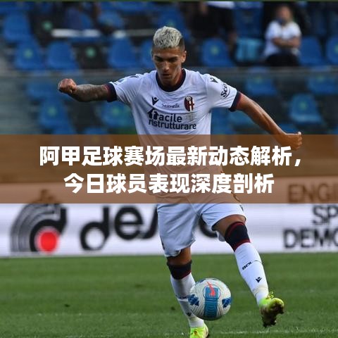 阿甲足球賽場(chǎng)最新動(dòng)態(tài)解析，今日球員表現(xiàn)深度剖析