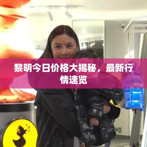 黎明今日價格大揭秘，最新行情速覽