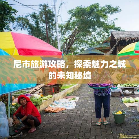 尼市旅游攻略，探索魅力之城的未知秘境