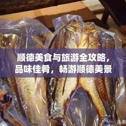 順德美食與旅游全攻略，品味佳肴，暢游順德美景