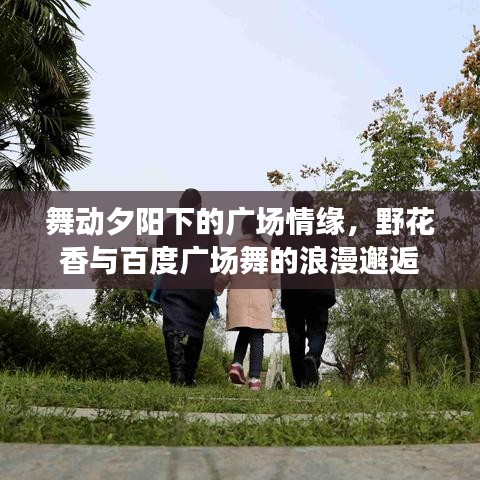 舞動(dòng)夕陽下的廣場情緣，野花香與百度廣場舞的浪漫邂逅