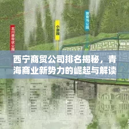 西寧商貿(mào)公司排名揭秘，青海商業(yè)新勢(shì)力的崛起與解讀