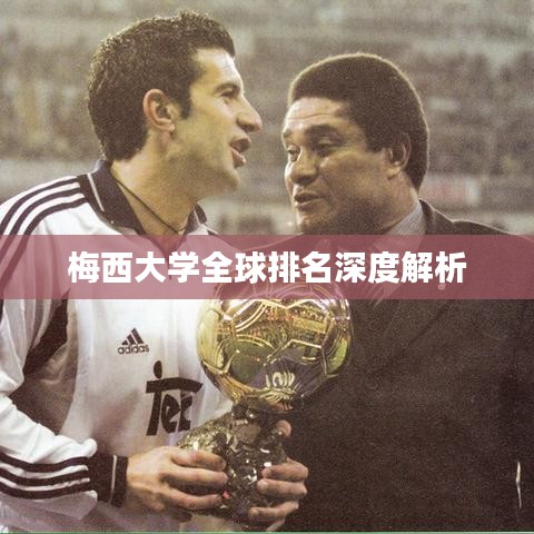 梅西大學(xué)全球排名深度解析