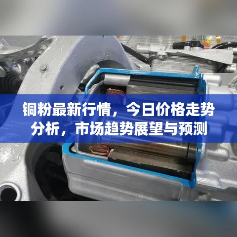 銅粉最新行情，今日價(jià)格走勢(shì)分析，市場(chǎng)趨勢(shì)展望與預(yù)測(cè)