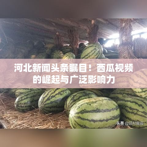 河北新聞頭條矚目！西瓜視頻的崛起與廣泛影響力