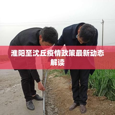 淮陽至沈丘疫情政策最新動態(tài)解讀