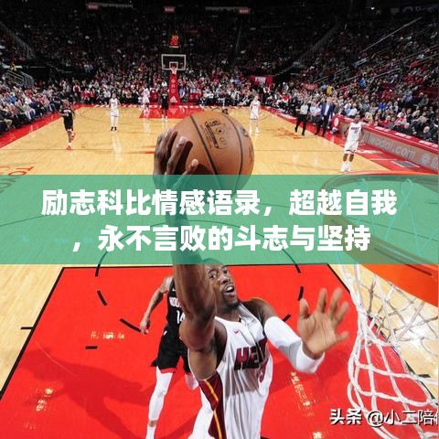 勵志科比情感語錄，超越自我，永不言敗的斗志與堅持