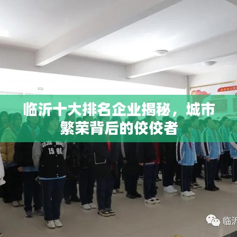 臨沂十大排名企業(yè)揭秘，城市繁榮背后的佼佼者