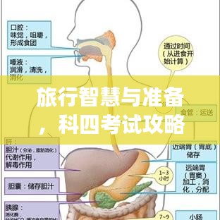 旅行智慧與準(zhǔn)備，科四考試攻略全解析