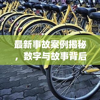 最新事故案例揭秘，數(shù)字與故事背后的驚人真相
