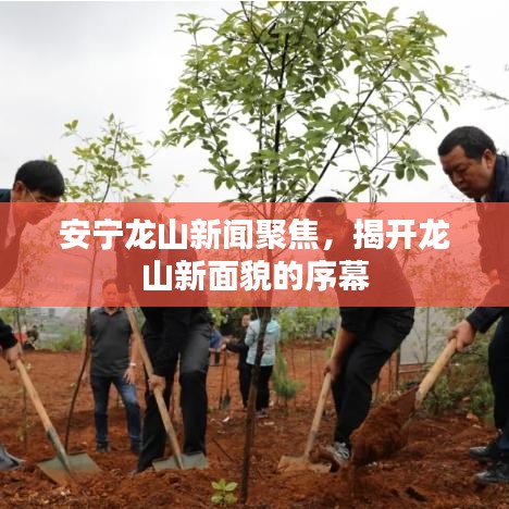 安寧龍山新聞聚焦，揭開龍山新面貌的序幕