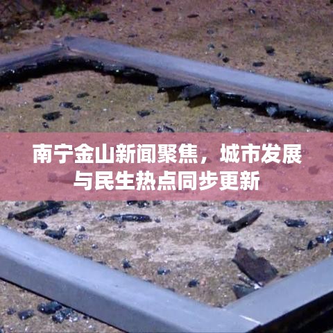 南寧金山新聞聚焦，城市發(fā)展與民生熱點同步更新