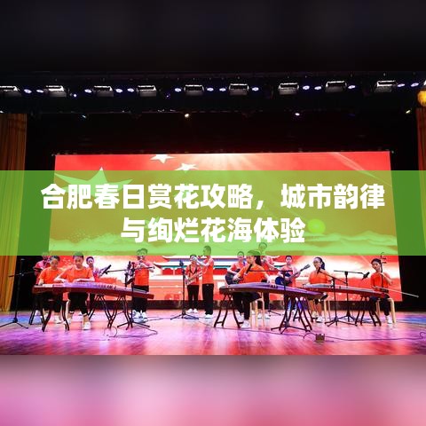 合肥春日賞花攻略，城市韻律與絢爛花海體驗(yàn)